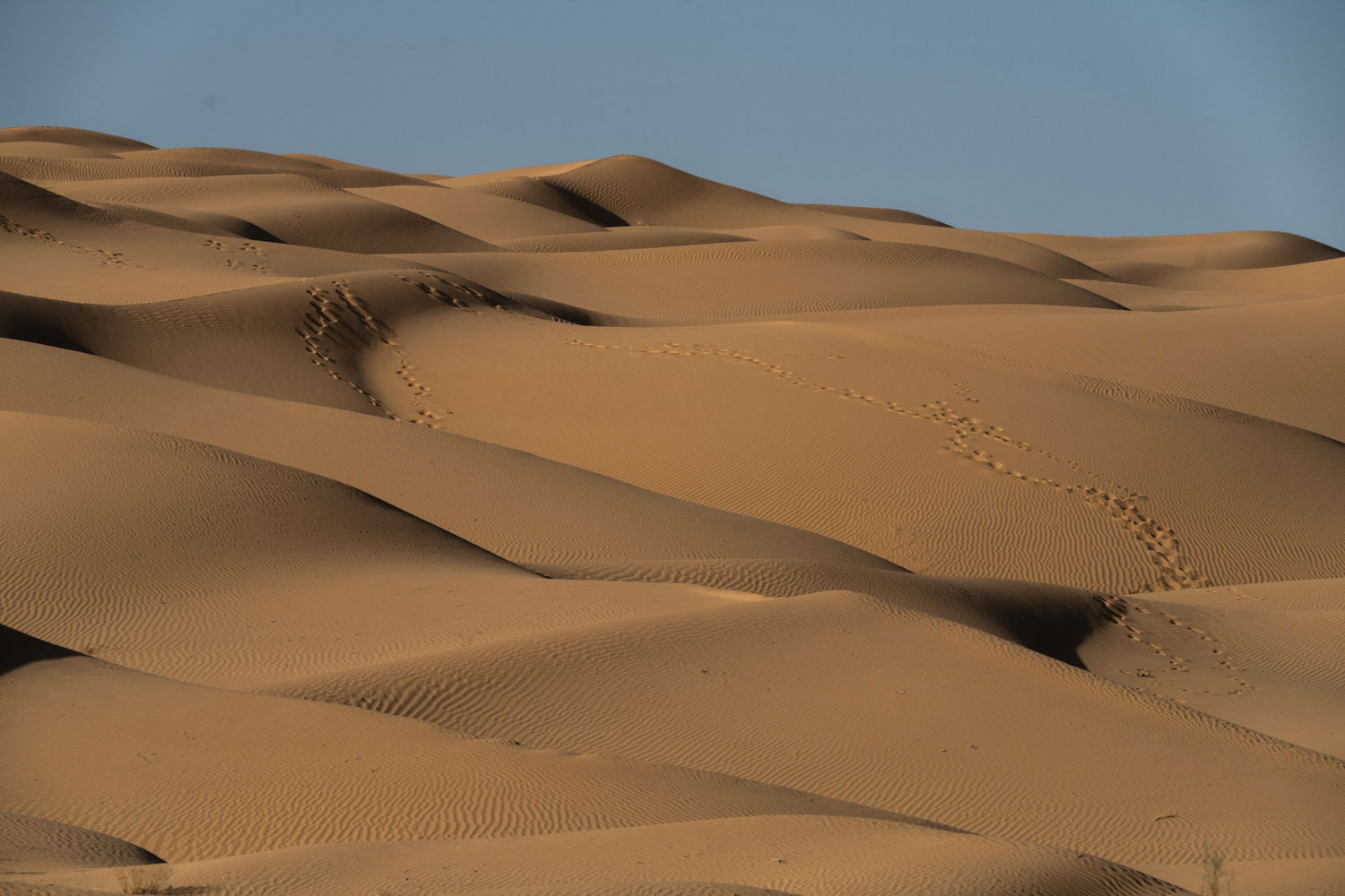 Sahara-el-erg-oriental-de-Túnez