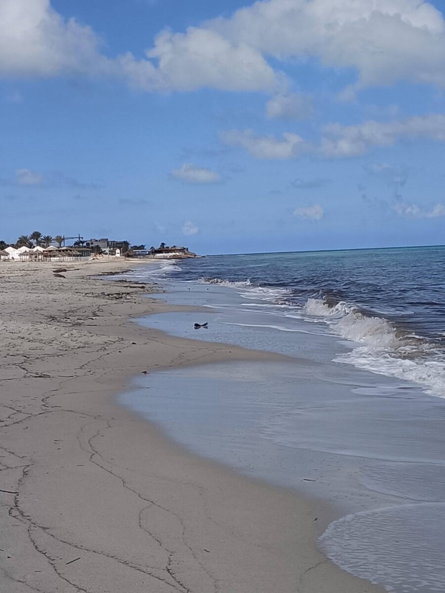 playas de Djerba