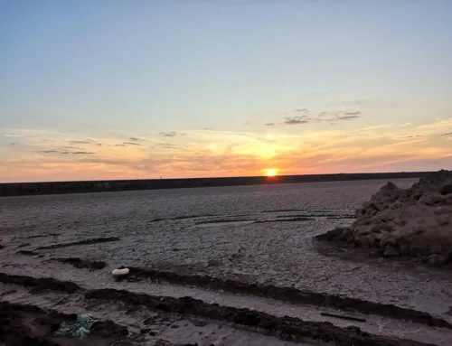 Chott El Djerid the largest salt lake in the Sahara