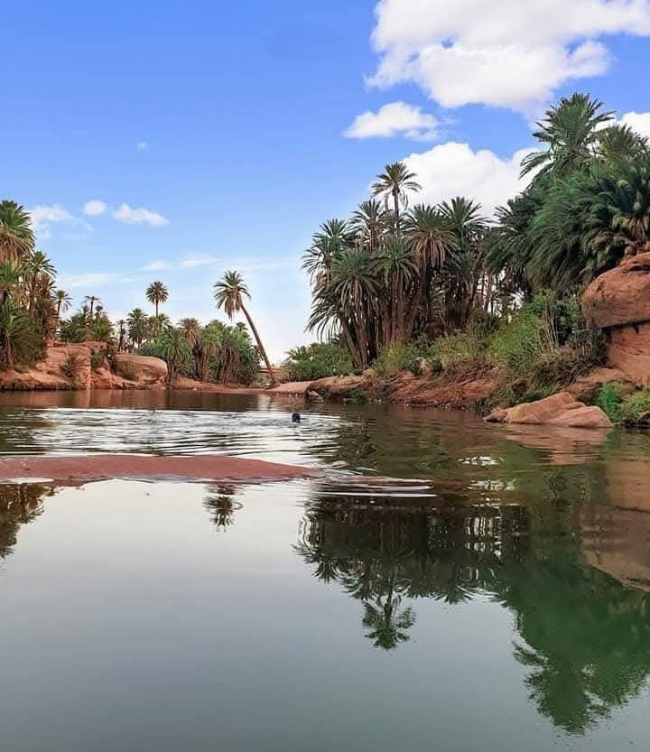 La vaca que llora Arte rupestre en Tassili N'ajjer